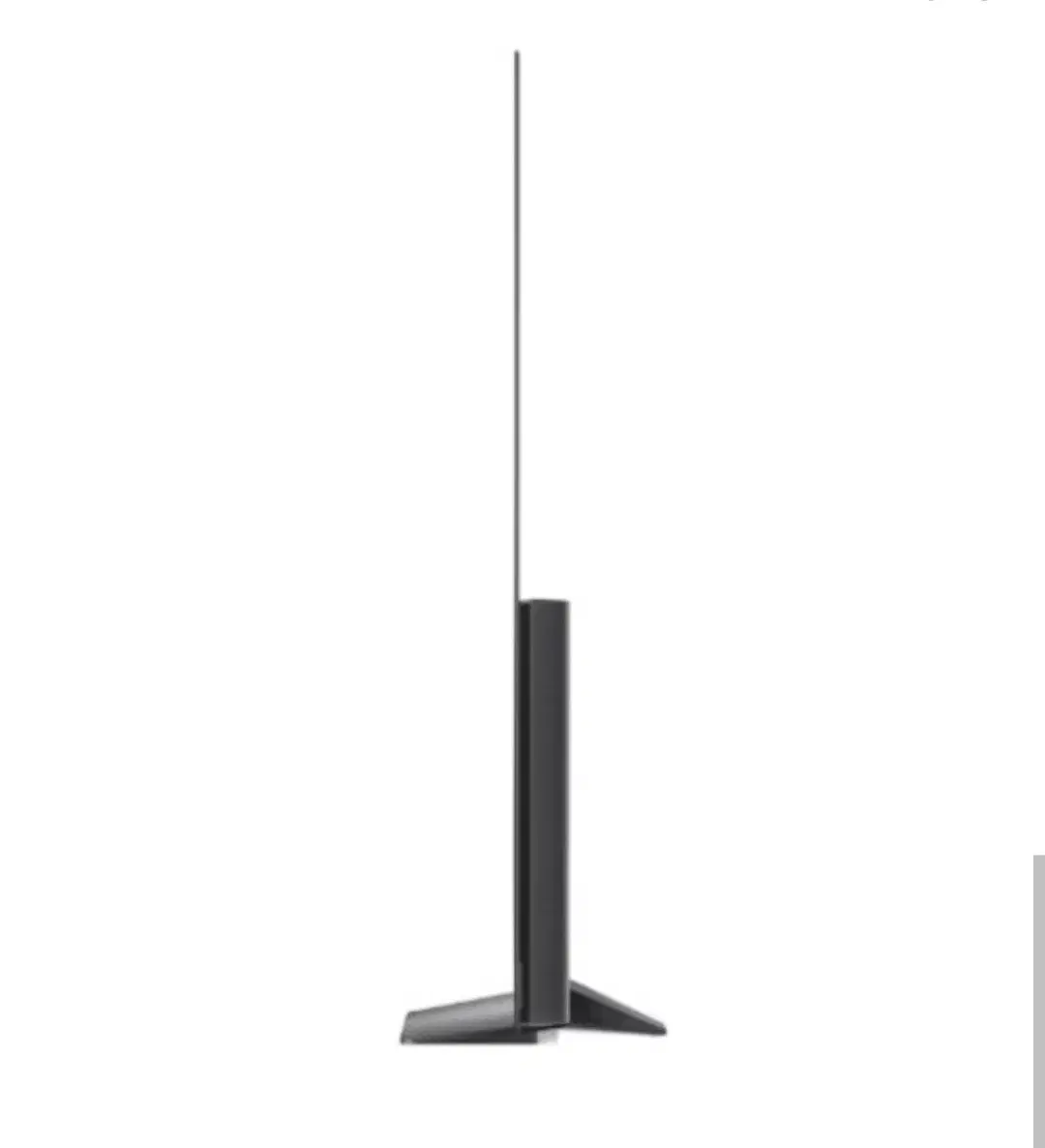 LG 65인치 OLED TV