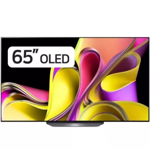 LG 65인치 OLED TV